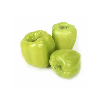BIBER DOLMA IDXAL KG