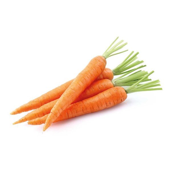 Yerkökü
